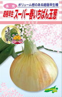 松永種苗 タマネギ 超極早生玉葱 スーパー春いちばん 2dl