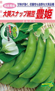 松永種苗 エンドウ 大莢スナップ豌豆 豊姫 小袋