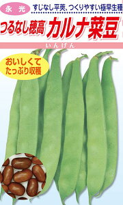 ���i��c �ؓ� ��Ȃ��J���i�ؓ� 1dl