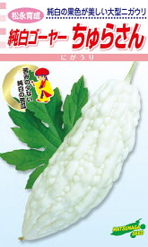 松永種苗 ニガウリ 純白ゴーヤ—　ちゅらさん　小袋