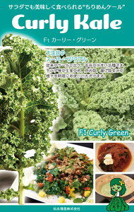 ic ߂P[@J[[EO[ R[g 500