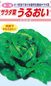 ic T_؁@邨@2dl