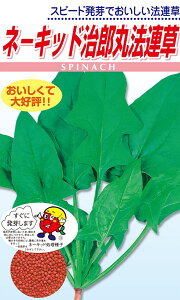 ic zE\E@l[LbhYہ@2dl