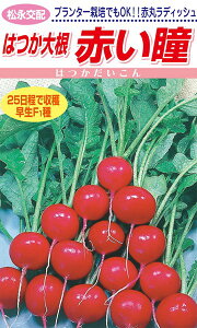 ic@͂卪@Ԃ@