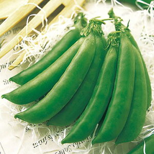 ^LCc GhE 氓 ǂ@O@GF