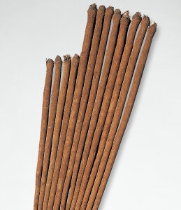 タキイ種苗 牛蒡 ゴボウ ごぼう 渡辺早生 1dl