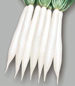 ^LCc _CR 卪 ϕaz RF