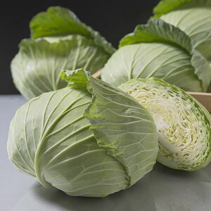 ^LCc Lxc × ׂ@Ԃ@2000