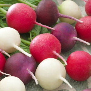 ^LCc \卪@낱냉fBbV~bNX@GF