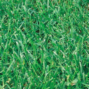 ^LCc  q Δp JE^[t2 10kg