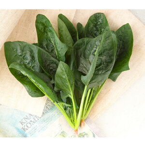 ^LCc zE\E @@ ق񂻂@ӒT}[qbg@PM3