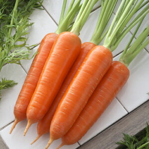 ^LCc jW lQ ɂ񂶂@~@ybg1