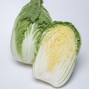 ^LCc@ nNTC ͂@Â95@R[g5000