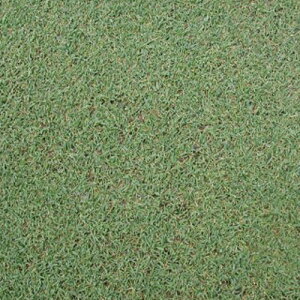 ^LCc  q Δp@N[sOxgOX yNX R[g500g