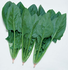 ^LCc zE\E @@ ق񂻂@ӒT}[XJC@AM3