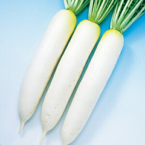 iJn̂ _CR 卪 tݑ卪 1000