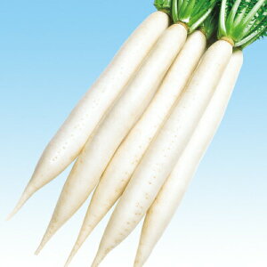 iJn̂ _CR 卪 Y卪 20ml