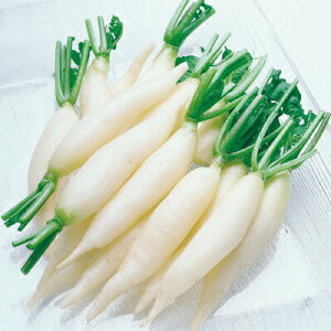 iJn̂ _CR 卪 zCgACVN 2dl