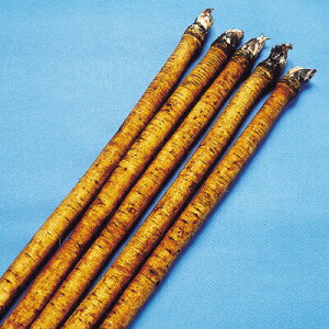 ナカハラのたね ゴボウ 牛蒡 吾作牛蒡(白肌)2dl