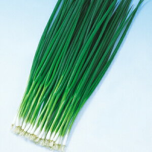 iJn̂ lM K 납ݔK 2dl