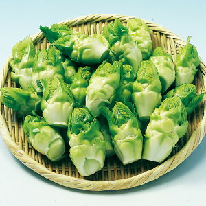 iJn̂  Γ쎙؁iq^JijLR[g 200