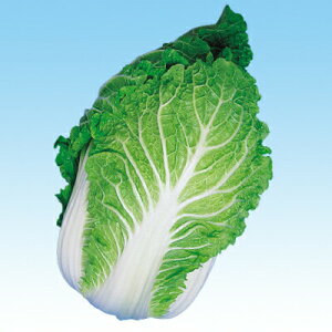 iJn̂ nNTC  65؁iL`؁jR[g