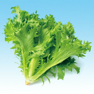 iJn̂ ^X t^X^L-122 LR[g1000