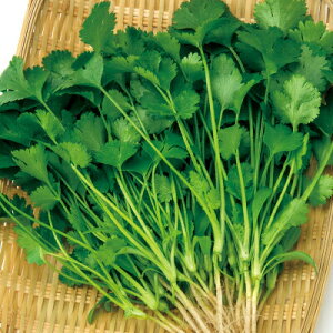 iJn̂ RA_[ipN`[EӒnj20ml