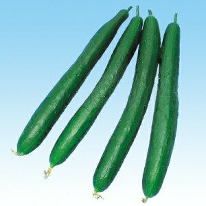 iJn̂ LE ߐRӉZ 20ml