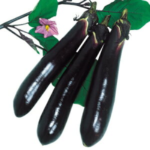 iJn̂ iX ɑт֎q 2000