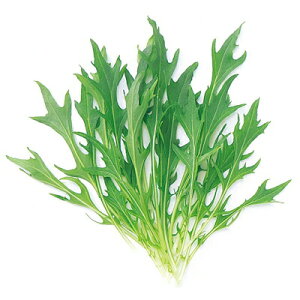 iJn̂ xr[[t Ӑ~Yi 1dl