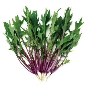 iJn̂ xr[[t Ԍs~Yi 1dl