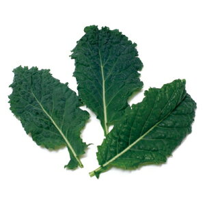 iJn̂ xr[[t ubNP[ 1dl