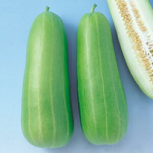 iJn̂ E ݂ǂ蔒Z 100