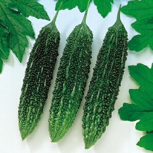 iJn̂ jKE ߐS[280 500