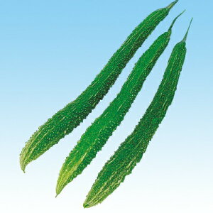 iJn̂ jKE ܑ咷΋Z 2dl