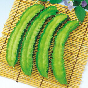 iJn̂ CQ VJN}iEBOr[j