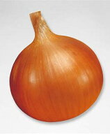 タキイ種苗 タマネギ 玉葱 O・P黄 ペレット 2L 1万粒