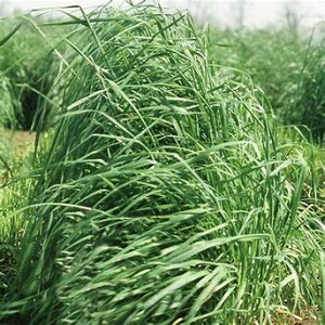 ^LCc  q Δp I[`[hOX |g}bN 1kg