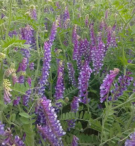 c  q Δp wA[xb` Y/To 1kg