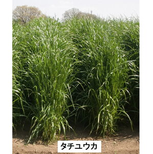 c  q Δp C^ACOX ^`EJ/SI-14 1kg