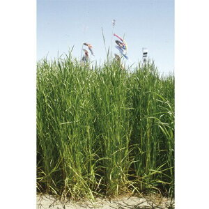 c  q Δp C^ACOX ^`V 1kg