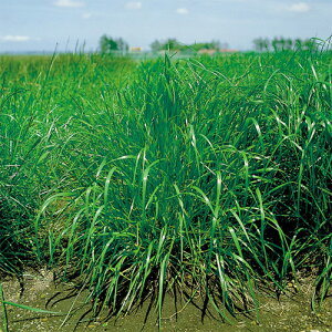 c  q Δp yACOX th 1kg