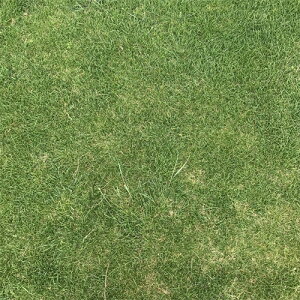 c  q Δp [YOX Wu^S[h 1kg