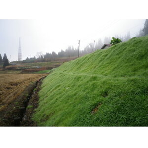 c  q Δp N[sOxgOX CY-2/V[Cc[ PVP 1kg