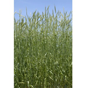 c  q Δp M CM R-007/EB[[ 1kg
