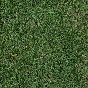 c  q Δp P^bL[u[OX AR[XeBbN 1kg