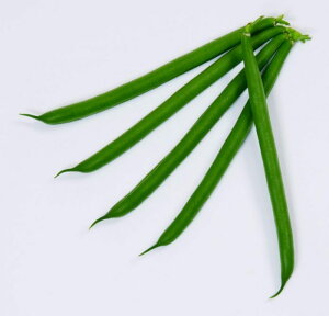 c@CQ 񂰂@S[fi[@1000