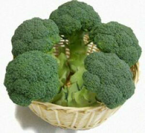 �n�Ӕ_�� �u���b�R���[�@�x���t�H�[��Q�@�R�[�g5000��