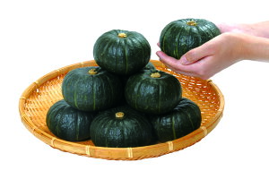 c@J{` ڂ Z@IĂ܂@